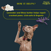 Doctor Doglittle Probiotic Shea Butter Paw & Nose Balm for Dogs Dogs-Grooming Supplies Doctor Doglittle