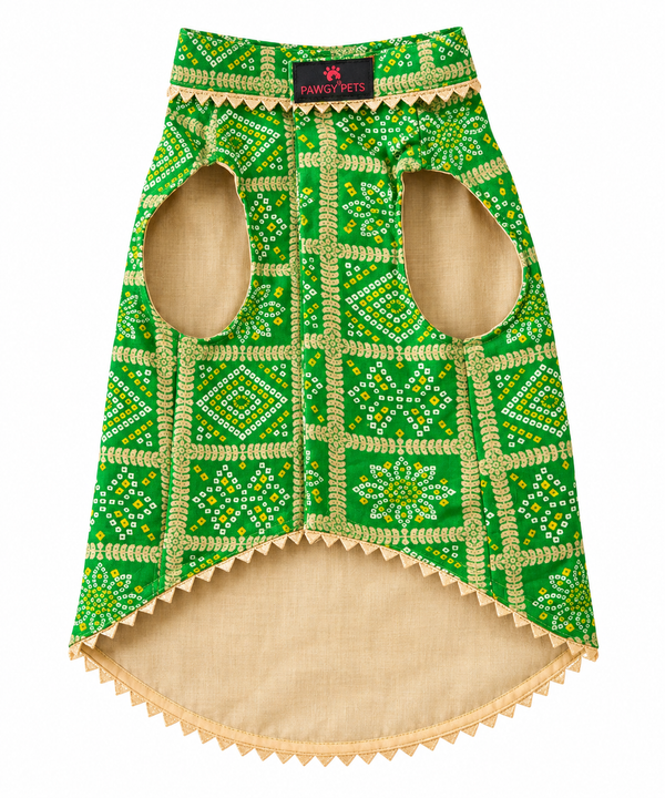 Pawgy Pets Bandhani Kurta for Dogs (Green)