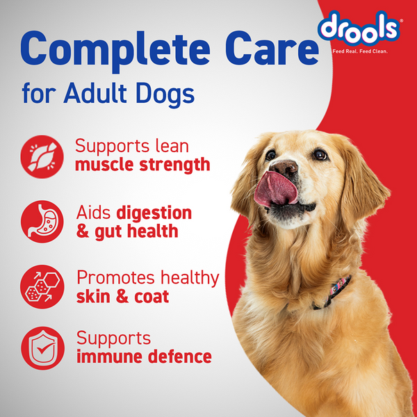Drools Optimum Performance Adult Dog Dry Food