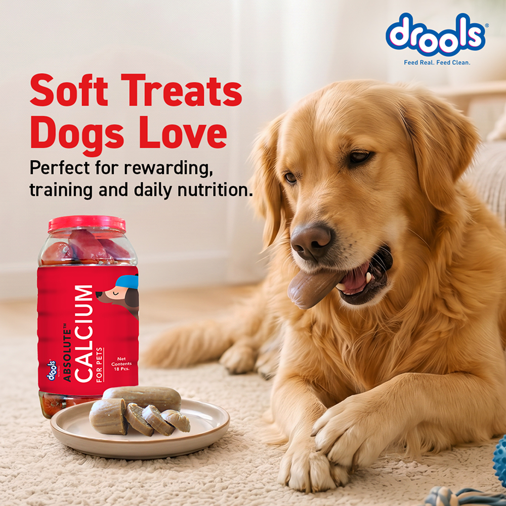 Drools Absolute Calcium Sausage Supplement for Dogs Dogs-Health & Wellness Drools