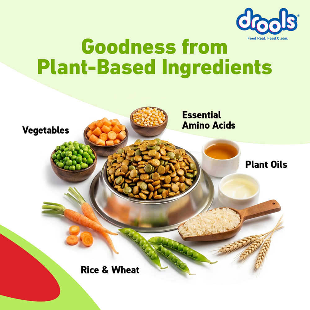 Drools 100% Vegetarian Puppy and Adult Dog Veg Dry Food (All Life Stages) Dogs- Dry Food Drools