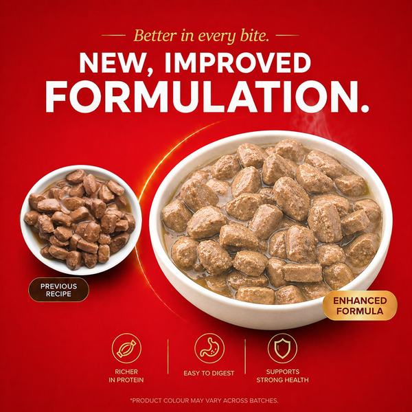 Drools Real Chicken & Chicken Liver Chunks in Gravy Puppy Dog Wet Food