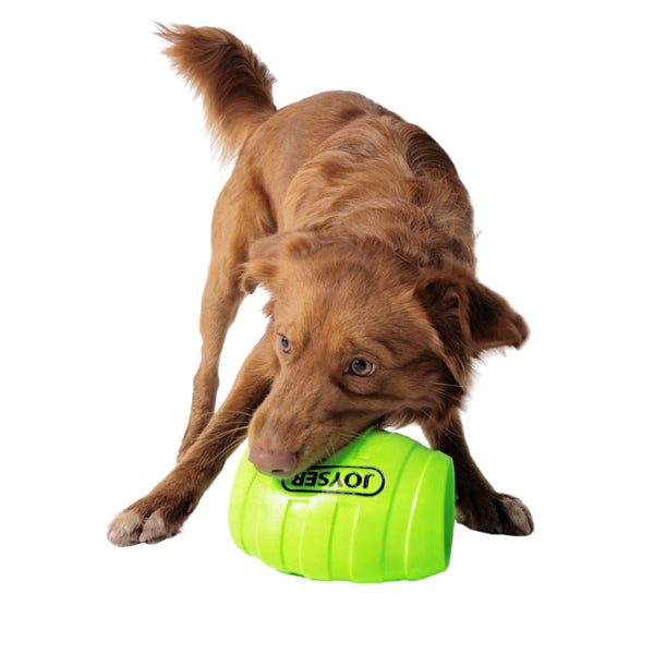 Joyser Active Holebarrel Toy for Dogs (Green)