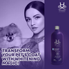 Hydra Groomers Oatmeal Extract Whitening Shampoo for Cats & Dogs Both-Grooming Supplies Hydra Groomers