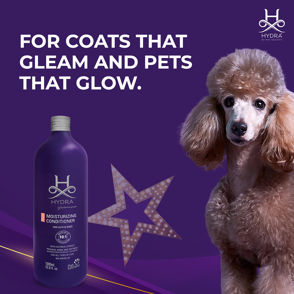 Hydra Groomers Oatmeal Moisturizing Conditioner for Cats & Dogs Both-Grooming Supplies Hydra Groomers
