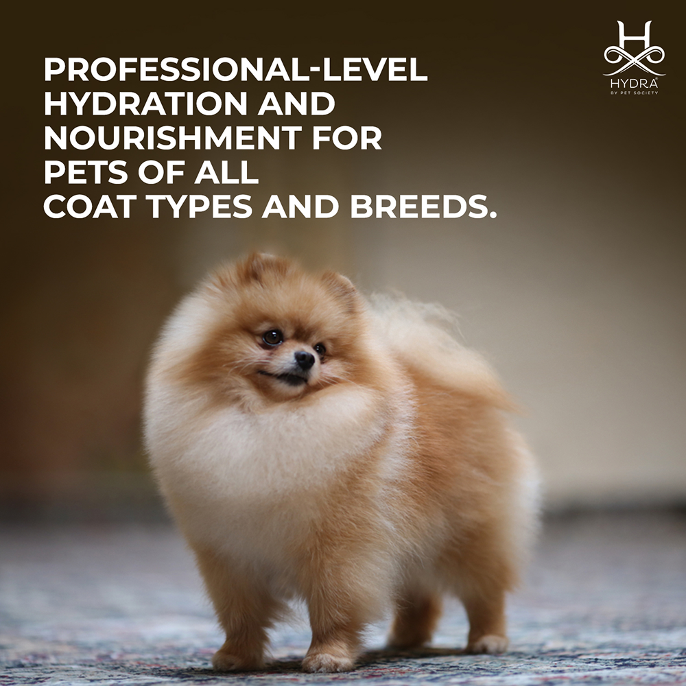 Hydra Groomers Oatmeal Moisturizing Conditioner for Cats & Dogs Both-Grooming Supplies Hydra Groomers