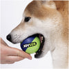 Joyser Active TPU Ball for Dogs (Blue/Green) Dogs-Toys Joyser