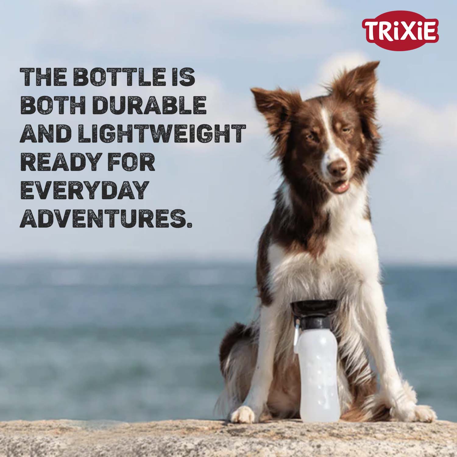 Trixie Travel Bottle with Bowl for Dogs and Cats (Black) Both-Bowls & Feeders Trixie