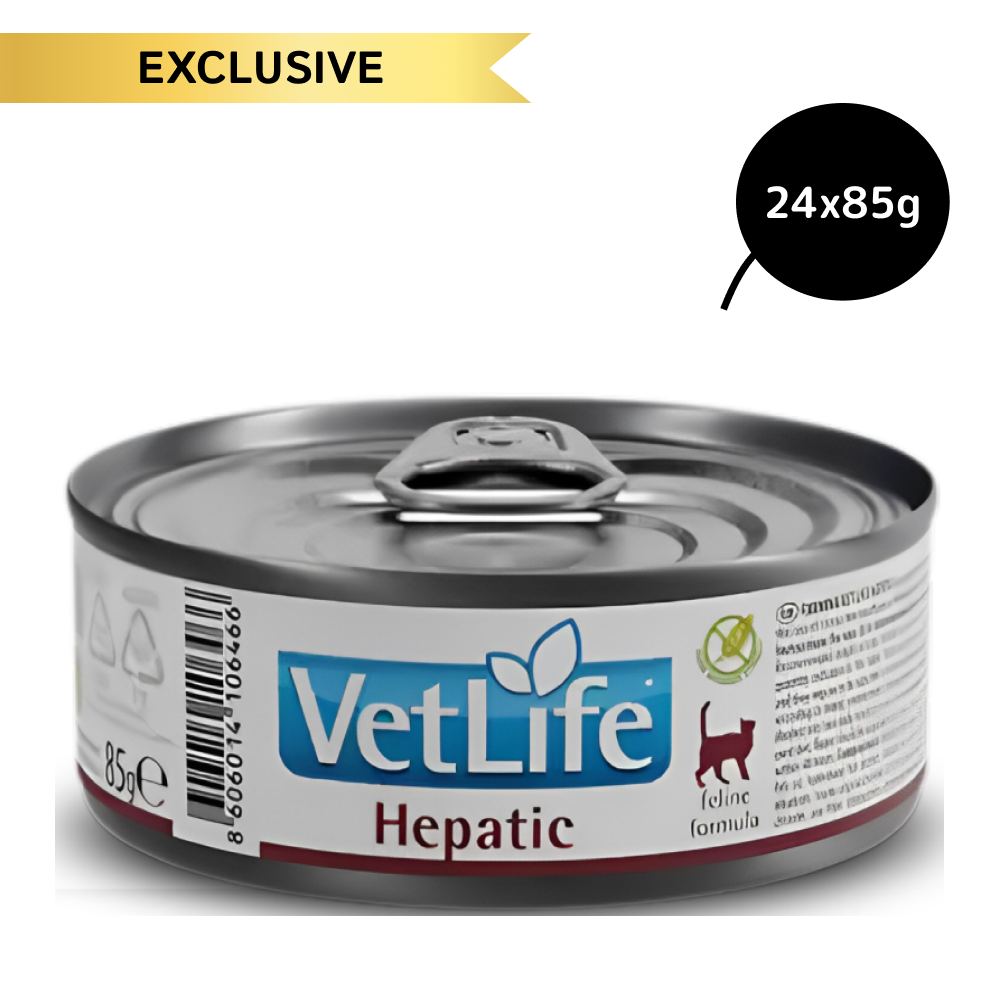 Hepatic cat food best sale