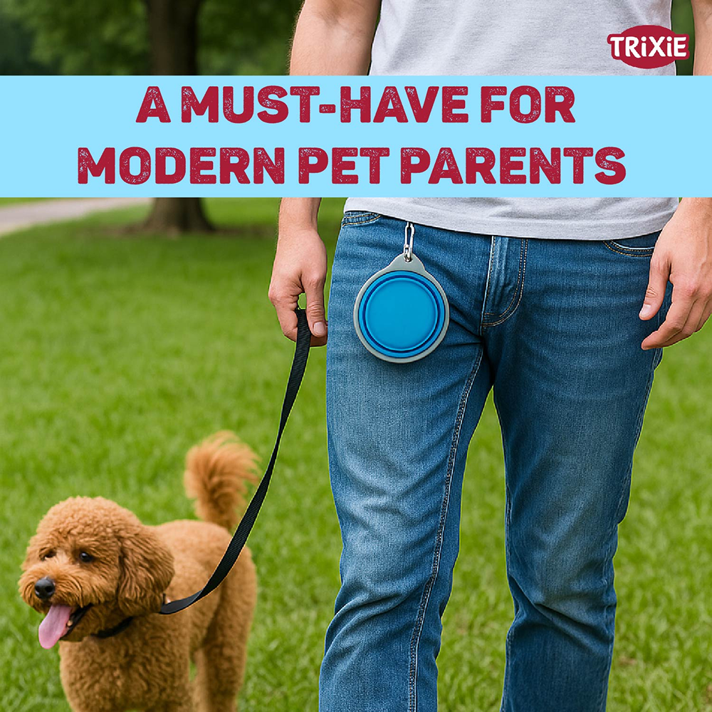 Trixie Foldable Silicon Travel Bowl for Dogs and Cats (Blue/Gray) Both-Bowls & Feeders Trixie