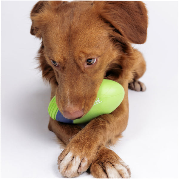 Joyser Active TPU Rugby Ball for Dogs (Blue/Orange)