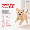 Drools Mackerel Kitten (1 to 12 Months) Cat Dry Food Cats- Dry food Drools