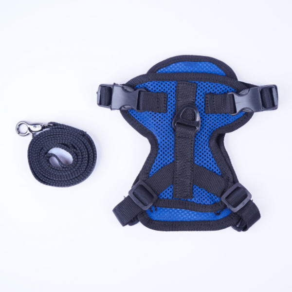 Skatrs Harness with Leash for Cats (Blue)