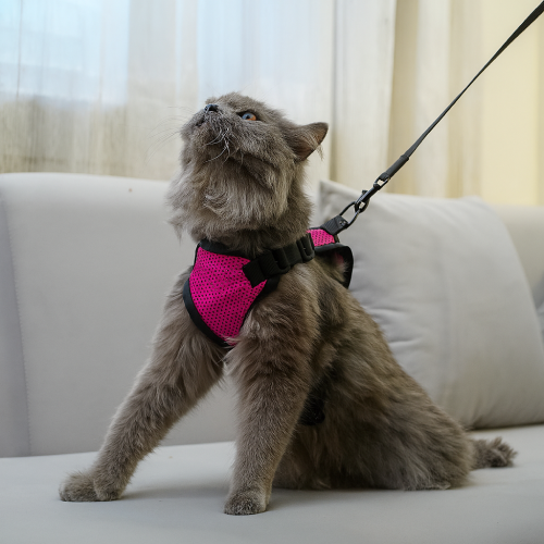 Skatrs Harness with Leash for Cats (Pink) Cats-Collar, Leashes, harnesses Skatrs