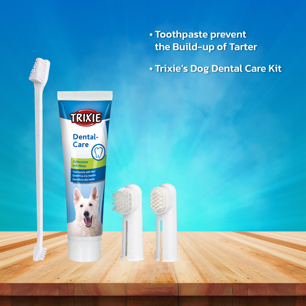 Trixie Dental Hygiene Kit for Dogs Dogs-Health & Wellness Trixie