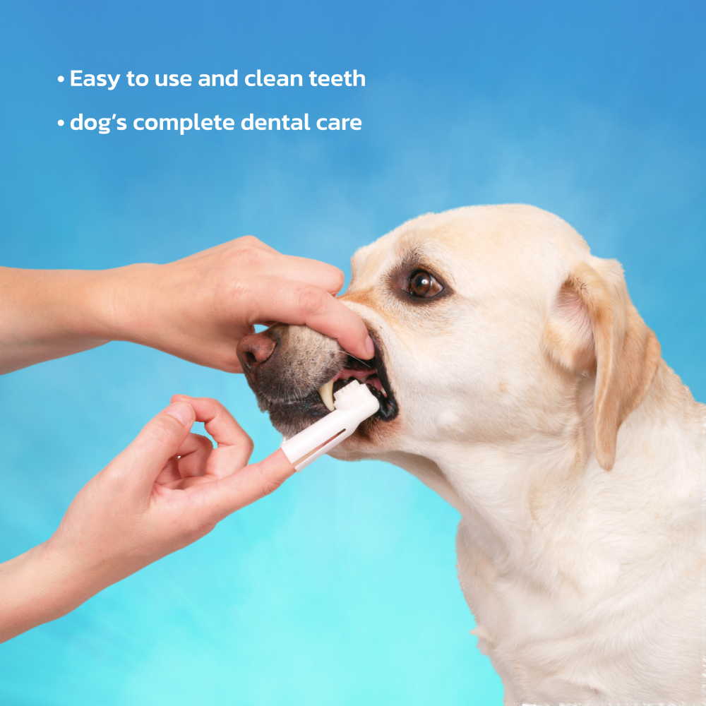 Trixie Dental Hygiene Kit for Dogs Dogs-Health & Wellness Trixie