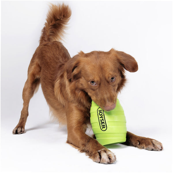 Joyser Active Holebarrel Toy for Dogs (Green)