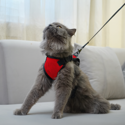 Skatrs Harness with Leash for Cats (Red) Cats-Collar, Leashes, harnesses Skatrs