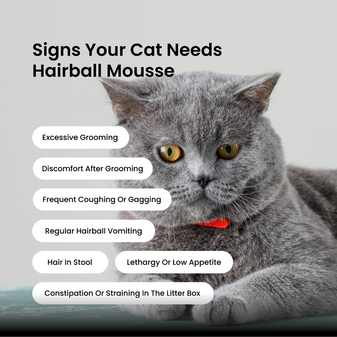 Absolut Pet Hair Ball Relief Creamy Supplements for Cat Cats-Health & Wellness Absolut Pet