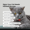 Absolut Pet Hair Ball Relief Creamy Supplement for Cat Cats-Health & Wellness Absolut Pet