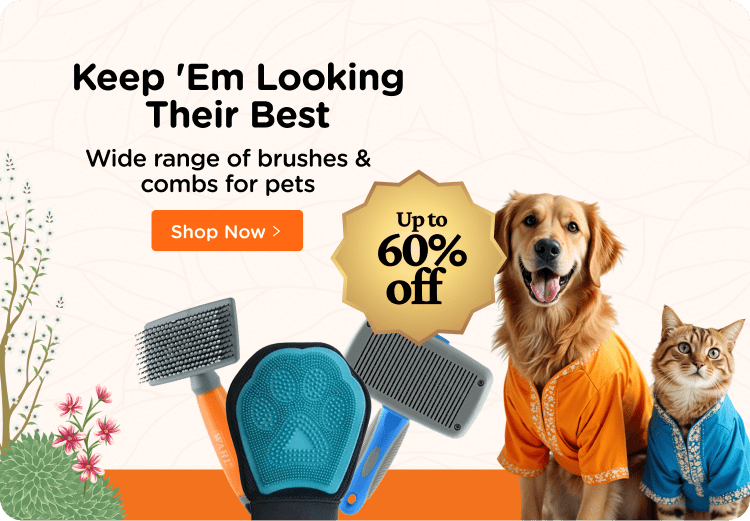 Online Pet Store Shop Pet Supplies and Products Supertails