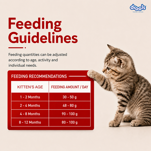 Drools Mackerel Kitten (1 to 12 Months) Cat Dry Food