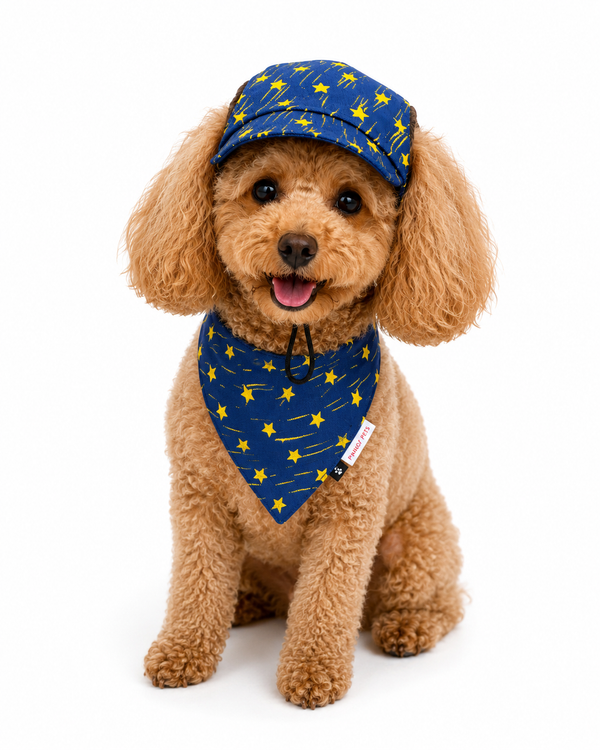 Pawgypets Denim Yellow Star Cap and Bandana Set for Dogs and Cats