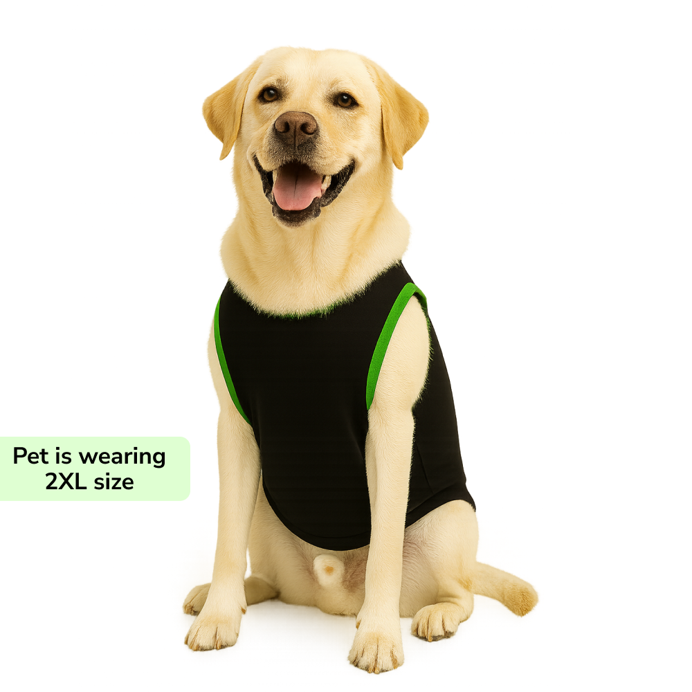 Skatrs Toadly Cute Cotton T shirt for Dogs and Cats Both-Clothing & Accessories Skatrs