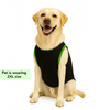 Skatrs Toadly Cute Cotton T shirt for Dogs and Cats Both-Clothing & Accessories Skatrs