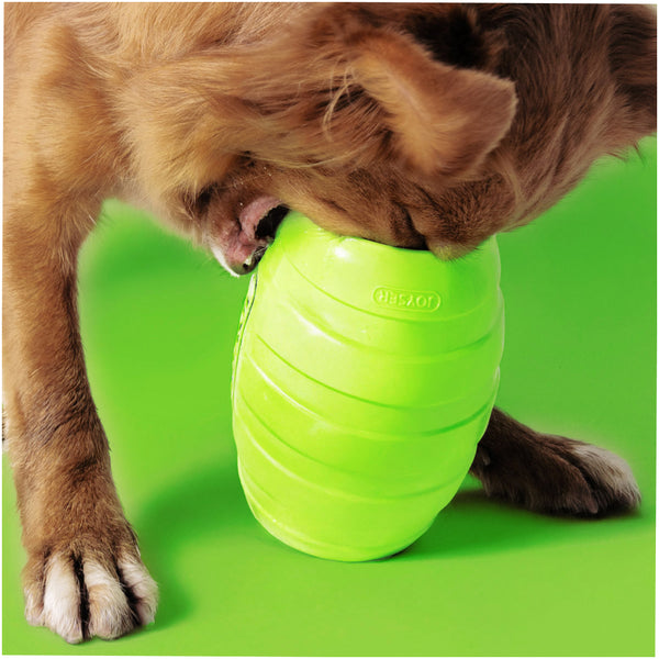 Joyser Active Holebarrel Toy for Dogs (Green)