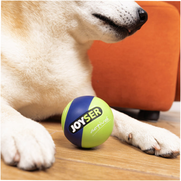 Joyser Active TPU Ball for Dogs (Blue/Green)