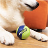 Joyser Active TPU Ball for Dogs (Blue/Green) Dogs-Toys Joyser