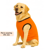 Skatrs Peekaboo Cotton T shirt for Dogs and Cats Both-Clothing & Accessories Skatrs