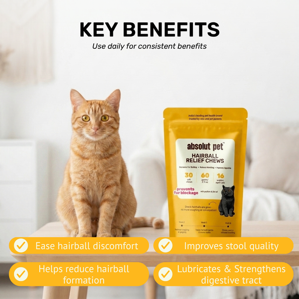 Absolut Pet Hairball Relief Chews Supplements for Cats