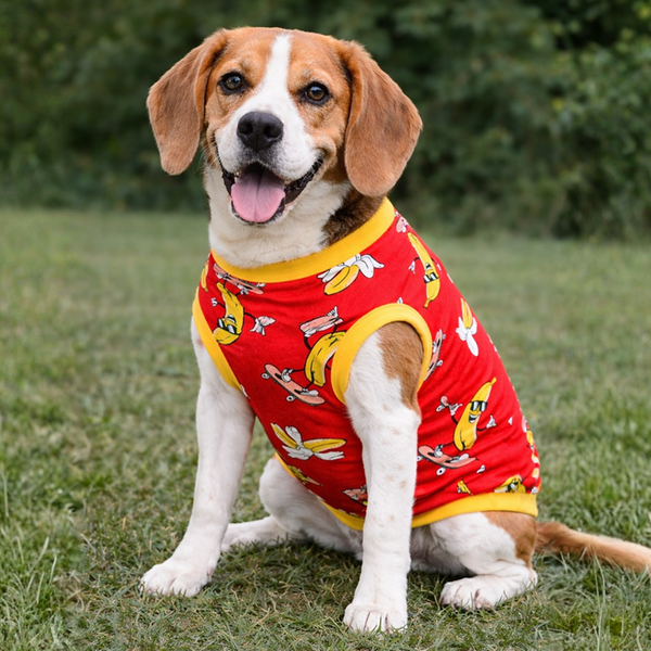 Pawgypets Banana Tshirt for Dogs (Red)