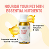 Unleash Wellness Vitam Paws Multivitamin Supplement for Dogs and Cats Both-Health & Wellness Unleash Wellness Dropship