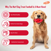 Nerf Bash Treat Football Toy for Dogs (Red) Dogs-Toys Nerf