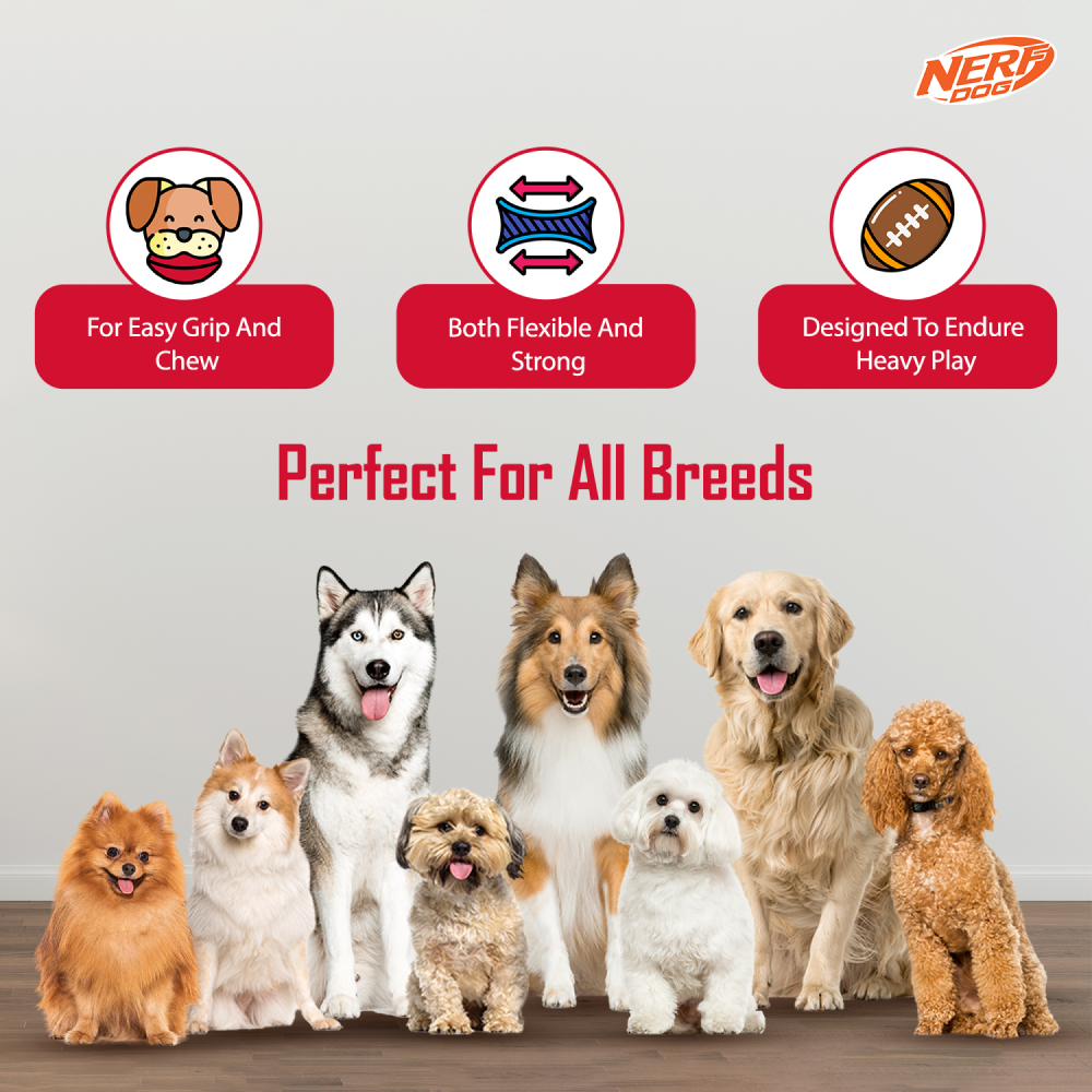 Nerf Bash Treat Football Toy for Dogs (Red) Dogs-Toys Nerf