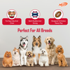 Nerf Bash Treat Football Toy for Dogs (Red) Dogs-Toys Nerf