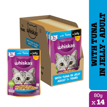 Whiskas Tuna in Jelly Meal Adult Cat Wet Food and Tuna Flavour Adult Cat Dry Food Combo