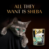 Sheba Maguro Pate Rich Premium Kitten Cat Wet Food Cats-Wet Food Sheba