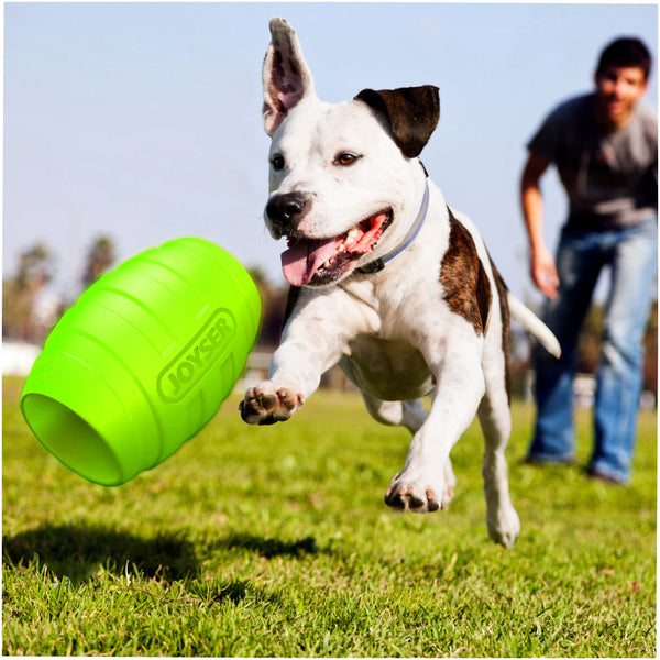Joyser Active Holebarrel Toy for Dogs (Green)