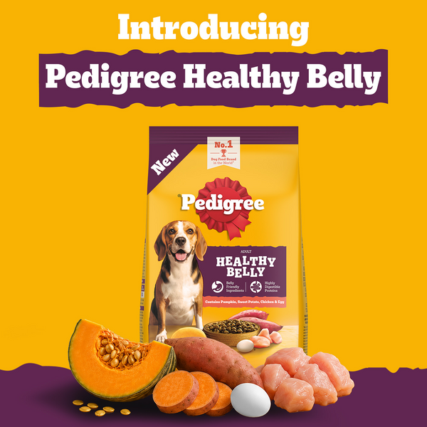 Pedigree New Healthy Belly Adult Dog Dry Food