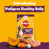 Pedigree New Healthy Belly Adult Dog Dry Food Dogs- Dry Food Pedigree