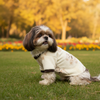 Pawgy Pets Teady Sweater for Dogs and Cats Dogs-Clothing & Accessories Pawgypets Dropship