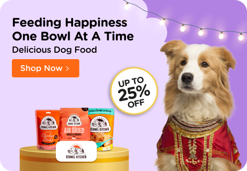 paw tree Dog Food: Catering to Your Canine’s Health and Happiness