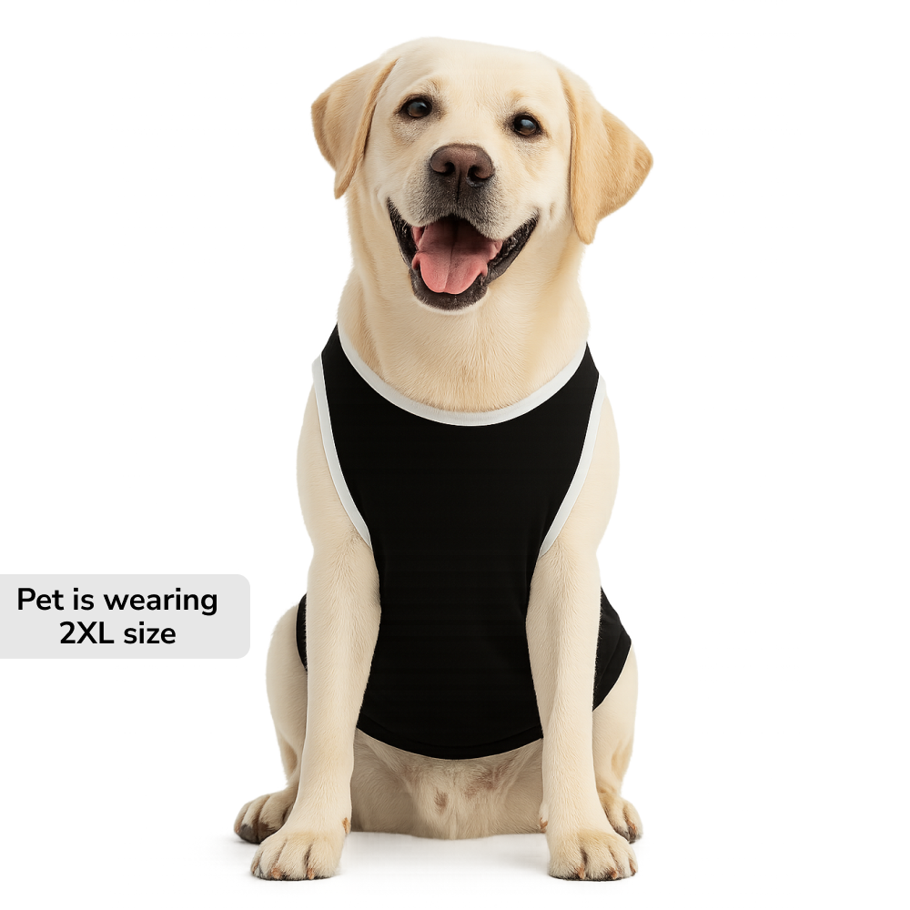 Skatrs Moody Cotton T shirt for Dogs and Cats Both-Clothing & Accessories Skatrs
