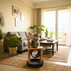 FurryLiving Canyon Multi Level Cat Tree with Tunnel, Toys and Scratching Post for Cats and Kittens Cats-Toys FurryLiving Dropship