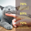 Absolut Pet Hair Ball Relief Creamy Supplement for Cat Cats-Health & Wellness Absolut Pet