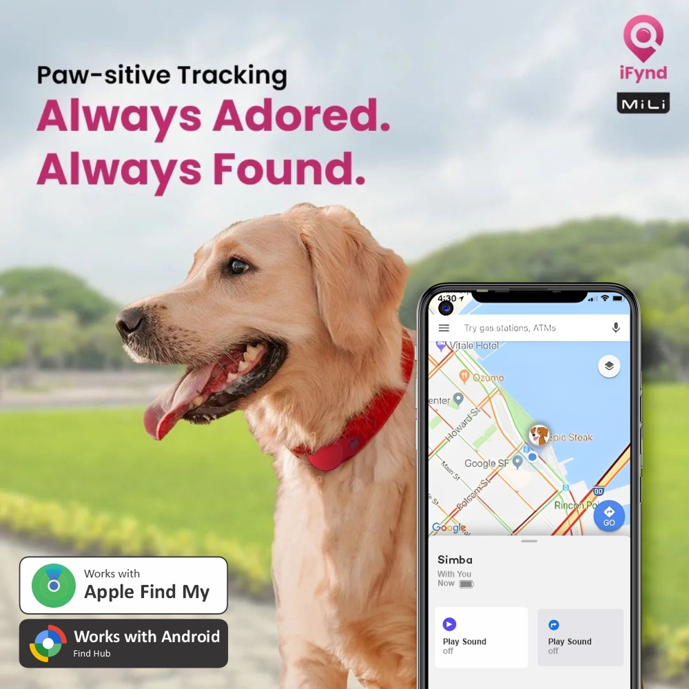 Mitag Duo Anti Loss Device for Dogs and Cats (Black) | IOS & Android Both-Collar, Leashes, harnesses Mitag Dropship